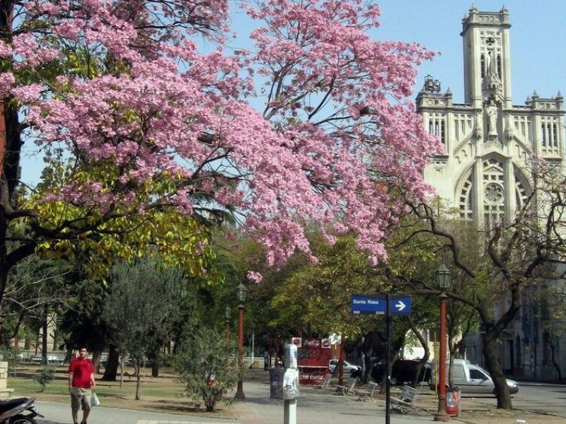 plaza-colon