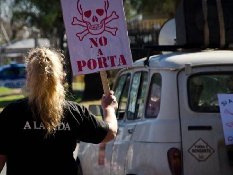 porta-780x405
