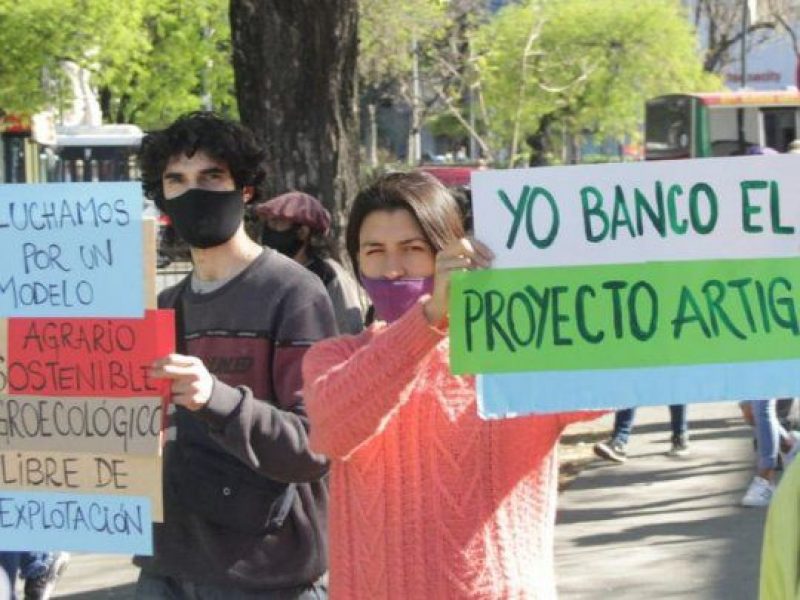 proyecto-artigasjpg