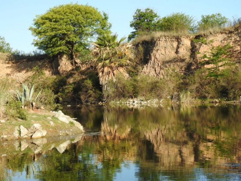 reserva