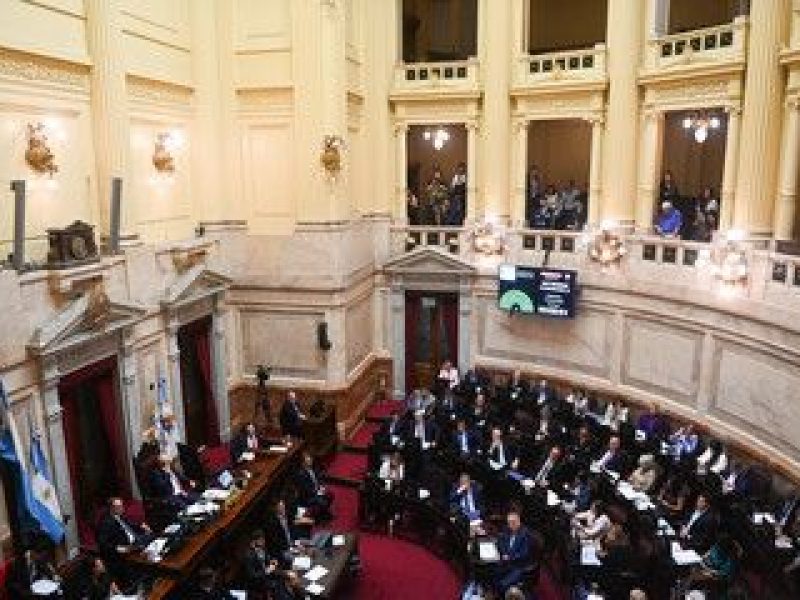 Sesión en el Senado por eliminación de las paso .

Foto Federico Lopez Claro