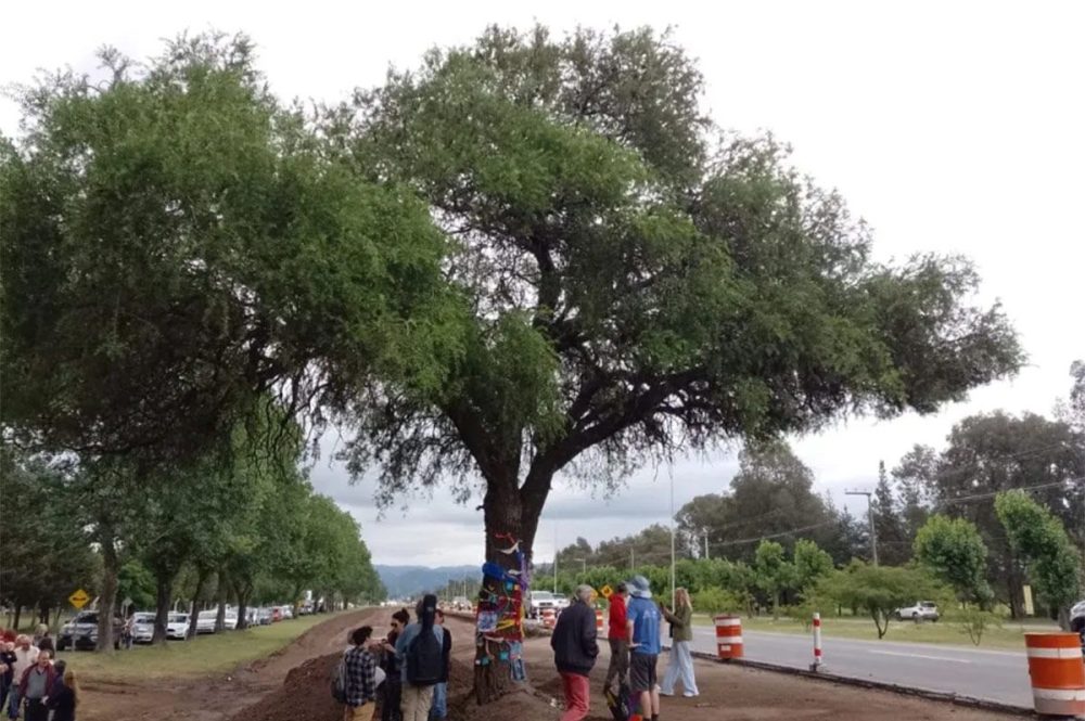 web-foto-quebracho-Cordoba-4