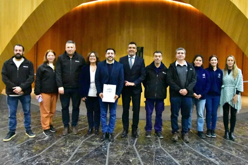 z-chamorro-torres-lima